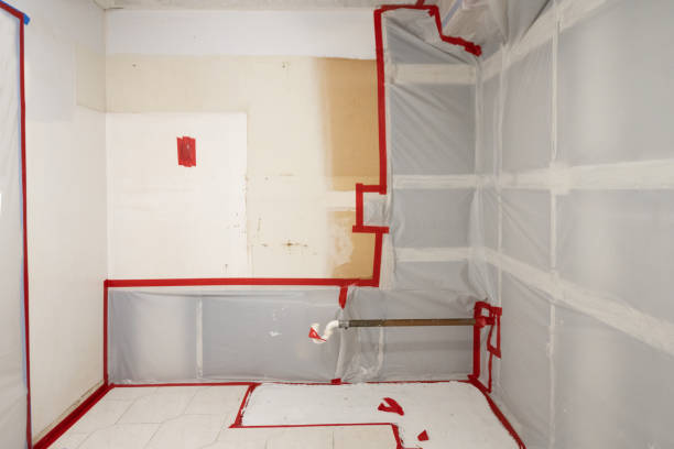 Best Emergency Mold Remediation  in Redwood, TX