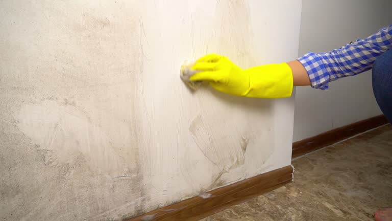 Best Asbestos and Lead Testing During Mold Inspection  in Redwood, TX